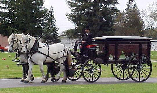 Horse-drawn Carriages for Funerals