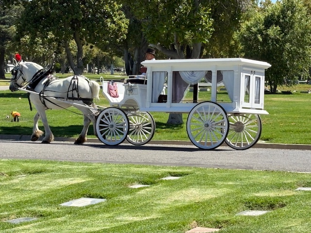 Horse-drawn Carriages for Funerals