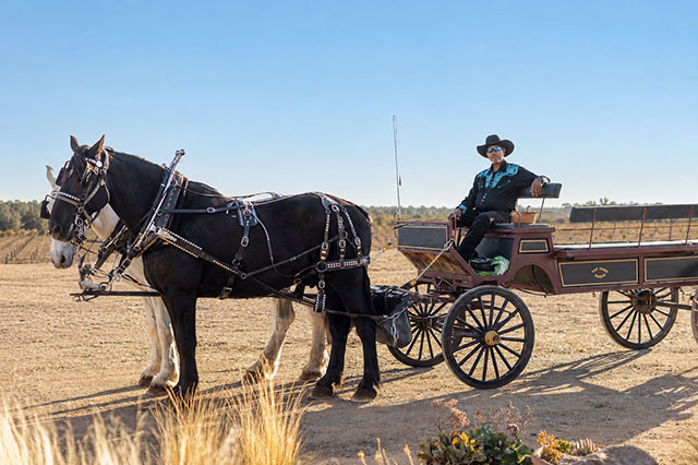 Old Time Wagon Rides