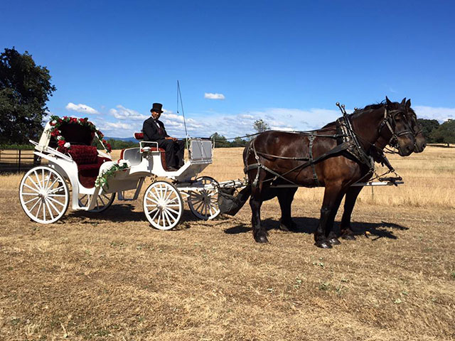 Weddings  Top Hand Ranch Carriage Company